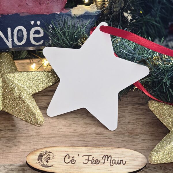 Cé'Fée Main -Etoile de Noel 1